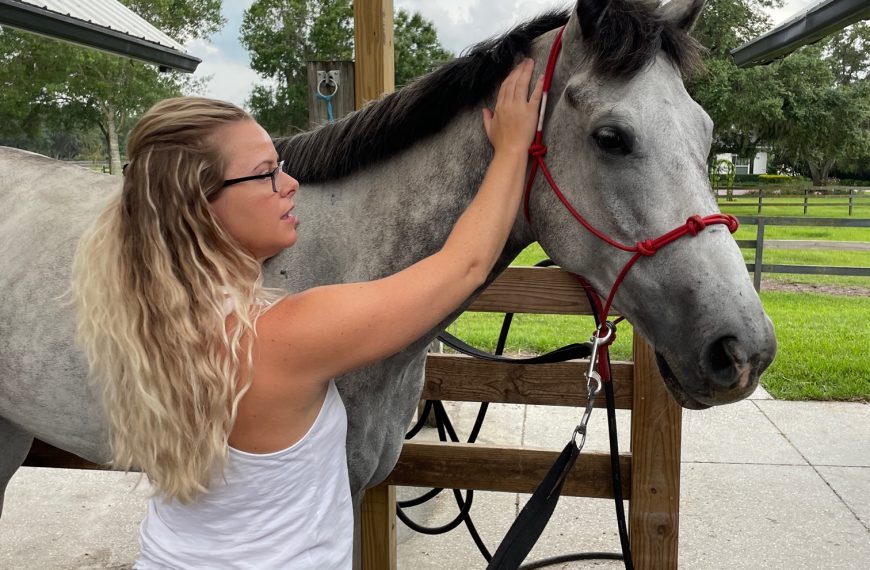 What is horse massage?